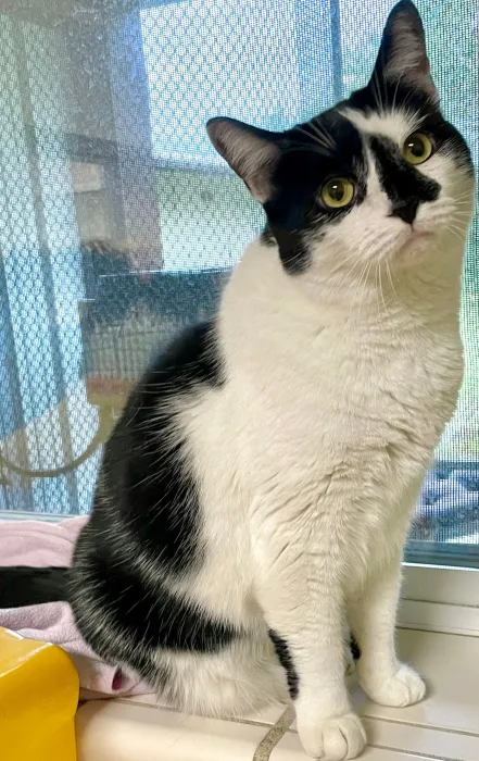 Jaspurr
