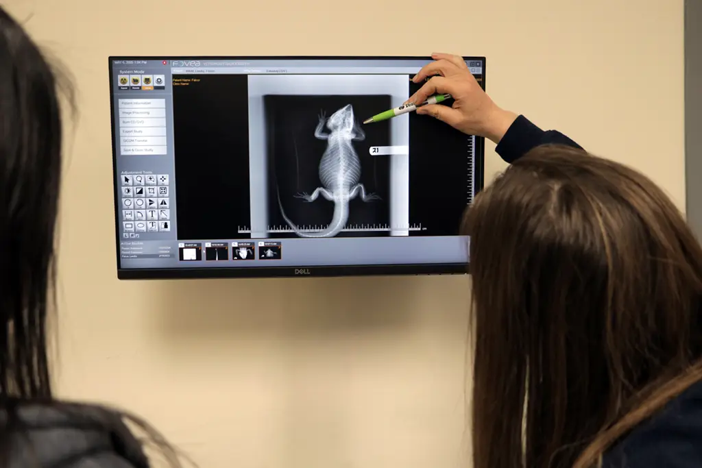 Radiology