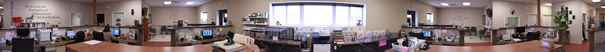 Virtual Tour